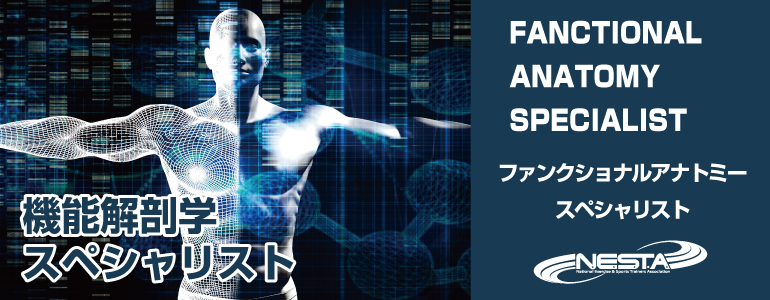 スペシャリスト資格について | NESTA JAPAN(ネスタジャパン